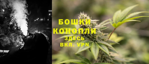 амф Кукмор