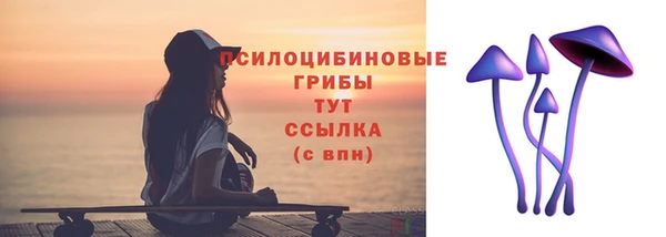 индика Липки