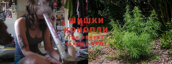 индика Липки