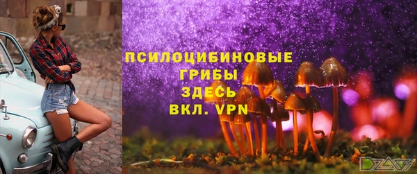 шишки Киреевск