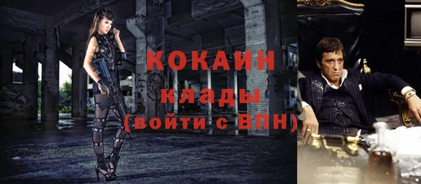 амф Кукмор